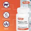 Rugby Nephro-Vite Vitamin B and C Complex Tablets - Dietary Supplement - 100 Count (1 Pack)
