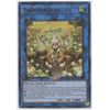 Traptrix Sera - MAMA-EN074 - Ultra Rare - 1st Edition