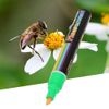Queen Bee Marker Pen, Beekeeping Tools Queen Bee Marking Pen Set Bee Keeping Marker Pen (Green)