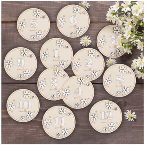 12Pcs Baby Months Signs, 3D Daisy Wooden Marker Discs Rustic, Baby Announcement Sign, Pregnancy and Baby Growth Monthly Wood Discs 1-12 Months Interchangeable Milepost Card Decor 3.9 x 3.9 Inch