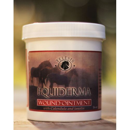 Equiderma 0 NEEM and Calendula Organic Wound Ointment (16 Ounce), 16"