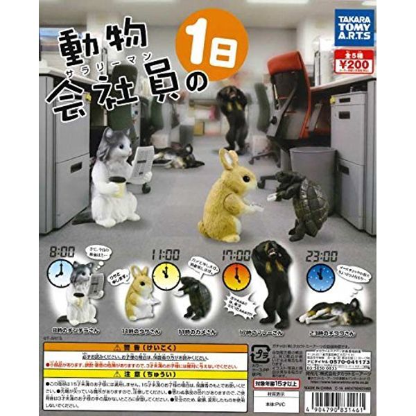 Animal Office Worker 1 Days All 5 types Set