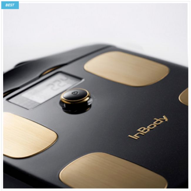 InBody Black Gold Edition Smart Scale Body Fat and Muscle Composition  Analyzer