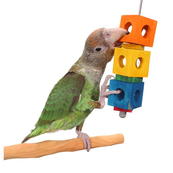 Traffic Light - Small Parrot Toy