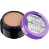 Ultimate Camouflage Cream Concealer