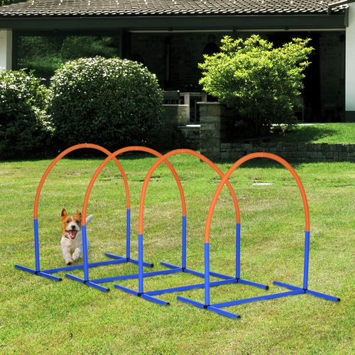 4 Piece Dog Agility Training Equipment with Carriage Bag, Blue