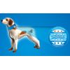 Aqua Coolkeeper cooling collar - Roses - XXXL