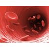 Advanced antioxidant - BLOOD SUGAR SUPPORT COMPLEX - Benefits cardiovascular, 3B