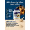 TYILLO 100% Grass-Fed Whey Protein – Recovery, Strength & Muscle Support