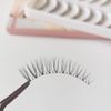 CLEAREYELASH False Eyelashes, Natural, Transparent Shaft, 3D Shape, Matsuek Construction, 10 Pairs, C01 Natural Rich