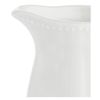 Porcellana Ducale Creamer Cc 100, Nylon/A