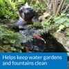 API Pondcare Pond AlgaeFix 1 gallon