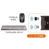 Sanwa Supply SW-KVM2UUSN2 PC Switcher (No Emulation, With Hand Switch), Black