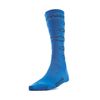 Spyder Boys' Bug Liner Socks