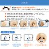 CatMoz 3D Nose Petite, 5 Sizes, Improve Bun Nose, Pig Nose, Garlic Nose, Painless, Orthopedic Nose, 2 Sizes Per Box (LXL, 2)