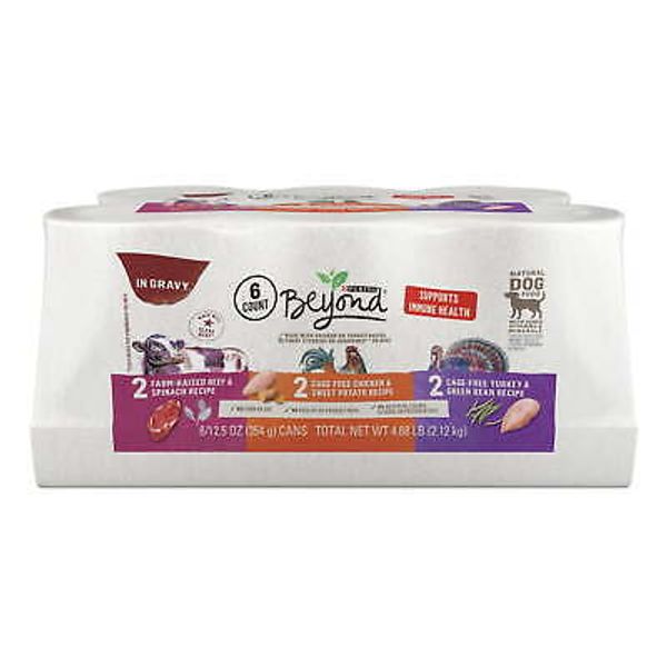 Beyond Immune Health Wet Dog Food High Protein Beef, Chicken, & Turkey