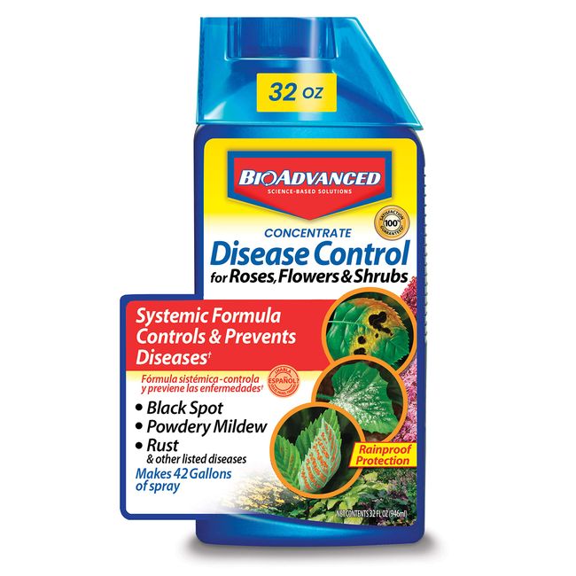 Bayer Advanced 701250 Disease Control for Roses, Flowers and Shrubs Garden Fungicide, 32-Ounce, Concentrate