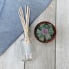 K.Hall Designs Milk Scent Boxed Diffuser Kit, Creamy-Sweet Scent with Coconut & Vanilla, Reed Diffuser Set for Home, Long Lasting Aroma Diffuser, Refillable, 8 fl oz