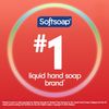 Softsoap Red Apple Liquid Hand Soap Refill, Limited Edition Fall Scent, 50 fl oz, 2-Pack
