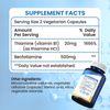 Vitamin B1 (Thiamine) 500 mg - 120 Vegetarian Tablets