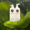 MOISTURE SHAMPOO & CONDITIONER by JENNY BRASIL