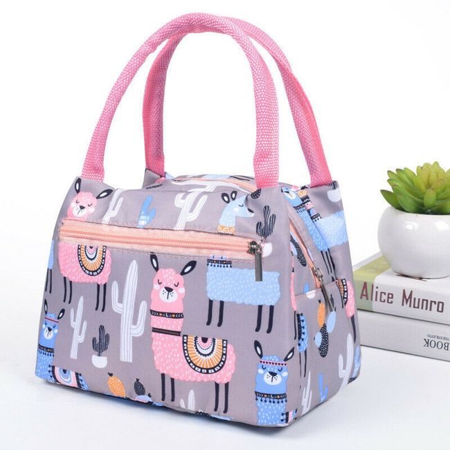 Lunch Bag Insulated Tote Bag Waterproof Portable Handbag for Women