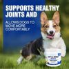 Dog Hip and Joint Supplement to Actively Support Mobility