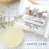 Alum Persimmon Shibu Soap/Natural Clear Soap