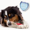Beaphar Toothbrush Pack: Toothpaste + Toothbrush