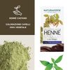 Colouring 100% Vegetable Chestnut