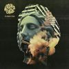 The Dawn Of Vitriol [VINYL]