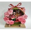 Cherry Blossom Viewing Japanese Crepe Craft Kit