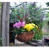 Kingfisher 16 inch Hanging Basket