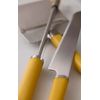 Rosti Emma Cheese Set 3 Pieces Curry