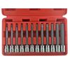 12 PC 3/8" DR CR-V/S-2 Material LONG Extension STAR BIT SOCKET SET ( T10 to T60)
