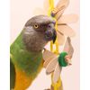 Daisy Chain - Small Popsicle Parrot Toy