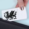 'Welsh Dragon' Pill Box with Tablet Splitter (PI00029211)