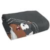 We Bare Bears Selfie Officially Licensed Beach Towel 30"x60"