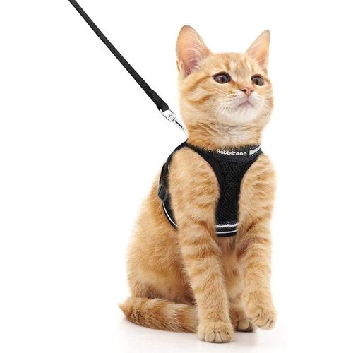 rabbitgoo Cat Harness Lead Set, Harness for Cats, Escape-Proof Cat Lead, Adjustable, Soft Kitten Vest with Reflective Strips for Extra Small Cats