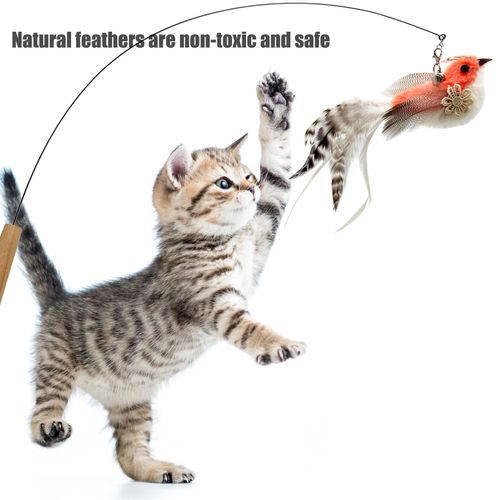 CATENEED Cat Feather Toys Refill Cat Wand Attachments, 5 PCS Feathers Cat Toy Refills, Cat Wand Replacement Feather Bird for Cat Toys