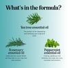 Rosemary Tea Tree Mint Shampoo - Clarifying Shampoo for Build Up and Flakes with Deep Cleansing Peppermint Oil and Tea Tree Essential Oil for Dry Scalp Treatment - Paraben & Sulfate Free (8oz)