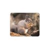 Squirrel Eating Nuts Cute Mouse Mat Pad - Woodlands Animal Computer #14267