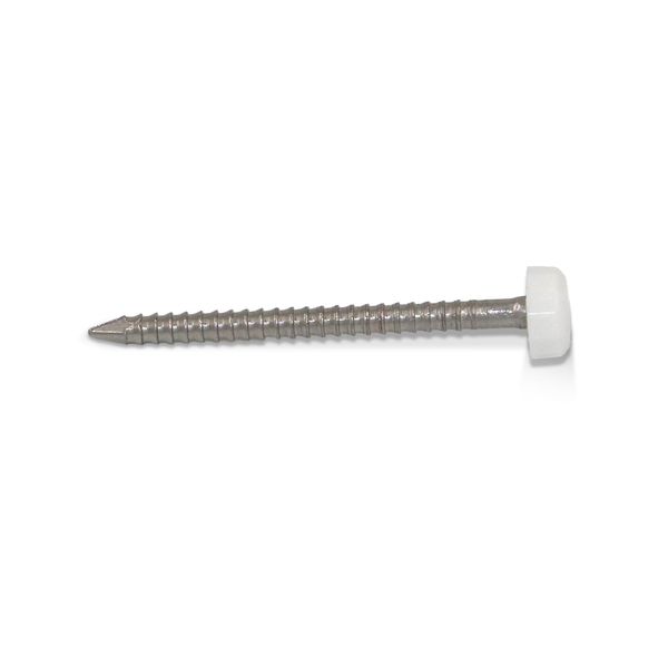 250 x UPVC Panel Pins 30mm Poly Top Pins Nails Plastic Headed Fascia Fixings Strong Grip Durable Stainless Steel Roofing Nails Secure Hold PVC UV Resistant Cladding Pins for Home Projects (White)