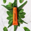 LINHART Whitening Toothpaste – Teeth Whitening, Enamel Strengthening Natural and Organic Toothpaste with Mint Flavor (3.4 oz)