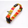 ONS Okano Rainbow Color Pet Collar, orange