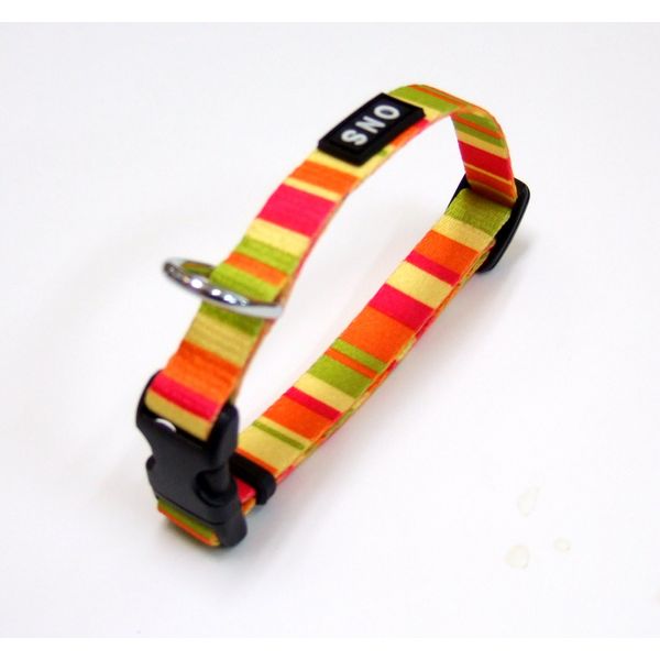ONS Okano Rainbow Color Pet Collar, orange