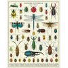Cavallini 1000 Piece Puzzle, Bugs and Insects (PZL/Bug)