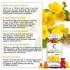 Mullein Leaf Gummies 2000mg Lung Cleansing,Respiratory Support Supplement 60 Pcs