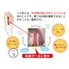 Squid Foot Supporter Relubé Basic Refill Socks Included, Medium Size