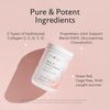 Alaya Multi Collagen Powder - Type I, II, III, V, X Hydrolyzed Collagen Peptides Protein Powder Supplement with MSM + GC (Unflavored) (40 Servings)